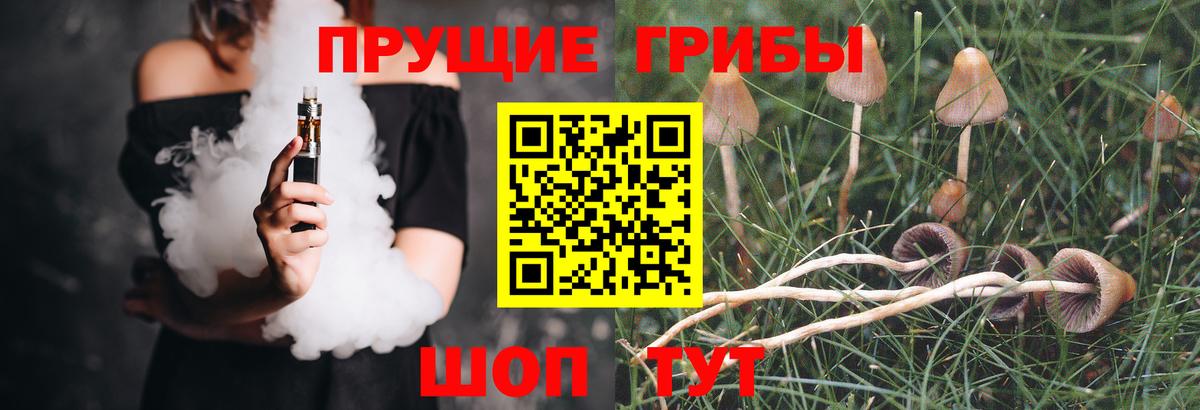 Новокубанск  наркота  Вход с VPN  Псилоцибиновые грибы Magic Shrooms  Галлюциногенные грибы MAGIC MUSHROOMS 